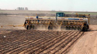 Soja: C�rdoba tiene la menor �rea en 5 a�os