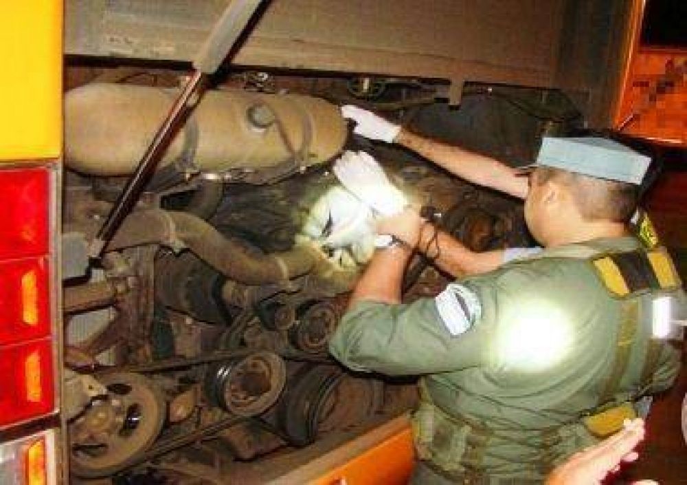 Incautaron m�s de 130 kilos de marihuana y detuvieron a dos choferes de colectivo