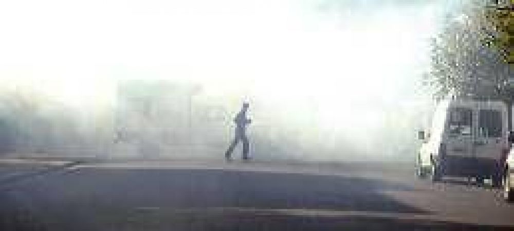 Confirman cuatro casos de dengue aut�ctono y brote en la zona sur 