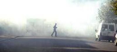Confirman cuatro casos de dengue aut�ctono y brote en la zona sur 