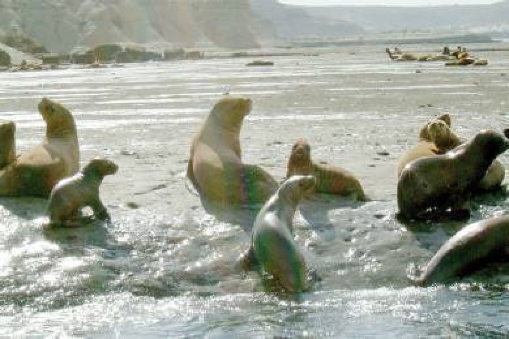 Auguran una Semana Santa con gran movimiento tur�stico en Chubut