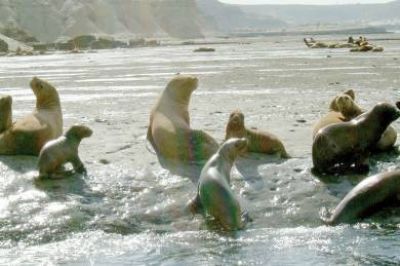 Auguran una Semana Santa con gran movimiento tur�stico en Chubut
