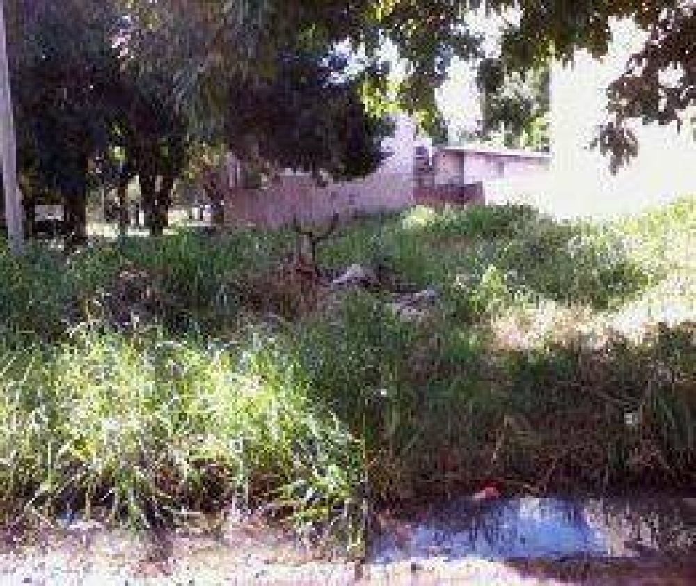 Desmalezamiento de terrenos bald�os