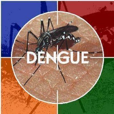 Se detect� un caso de dengue