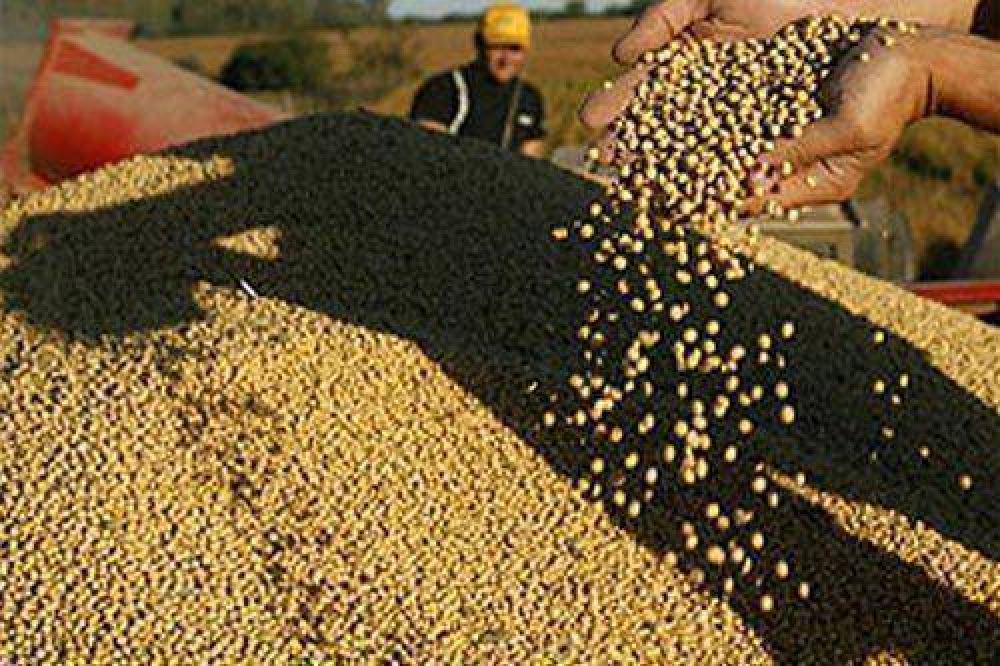 Para que sojeros liquiden d�lares, podr�an aplicar la ley antiterrorista 