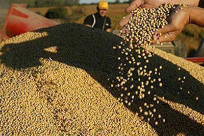 Para que sojeros liquiden d�lares, podr�an aplicar la ley antiterrorista 