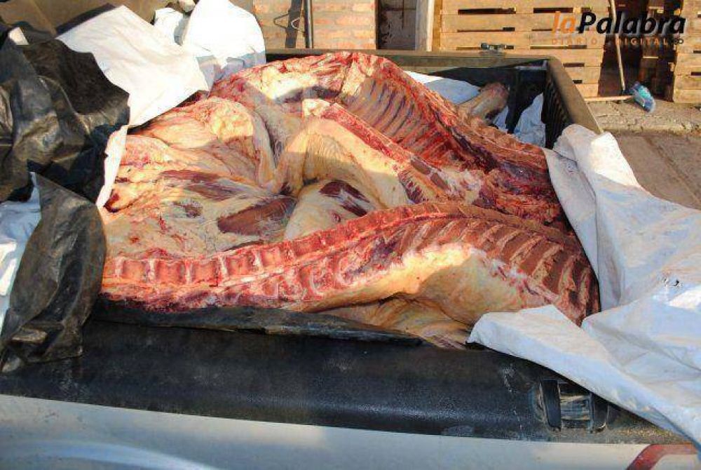 Secuestro de carne faenada clandestinamente en Patagones faena cladestina secuestrada