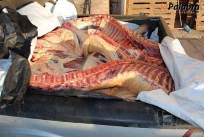 Secuestro de carne faenada clandestinamente en Patagones faena cladestina secuestrada