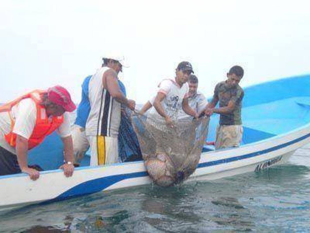 Cient�ficos del Inidep colaboran con pescadores artesanales en Nicaragua
