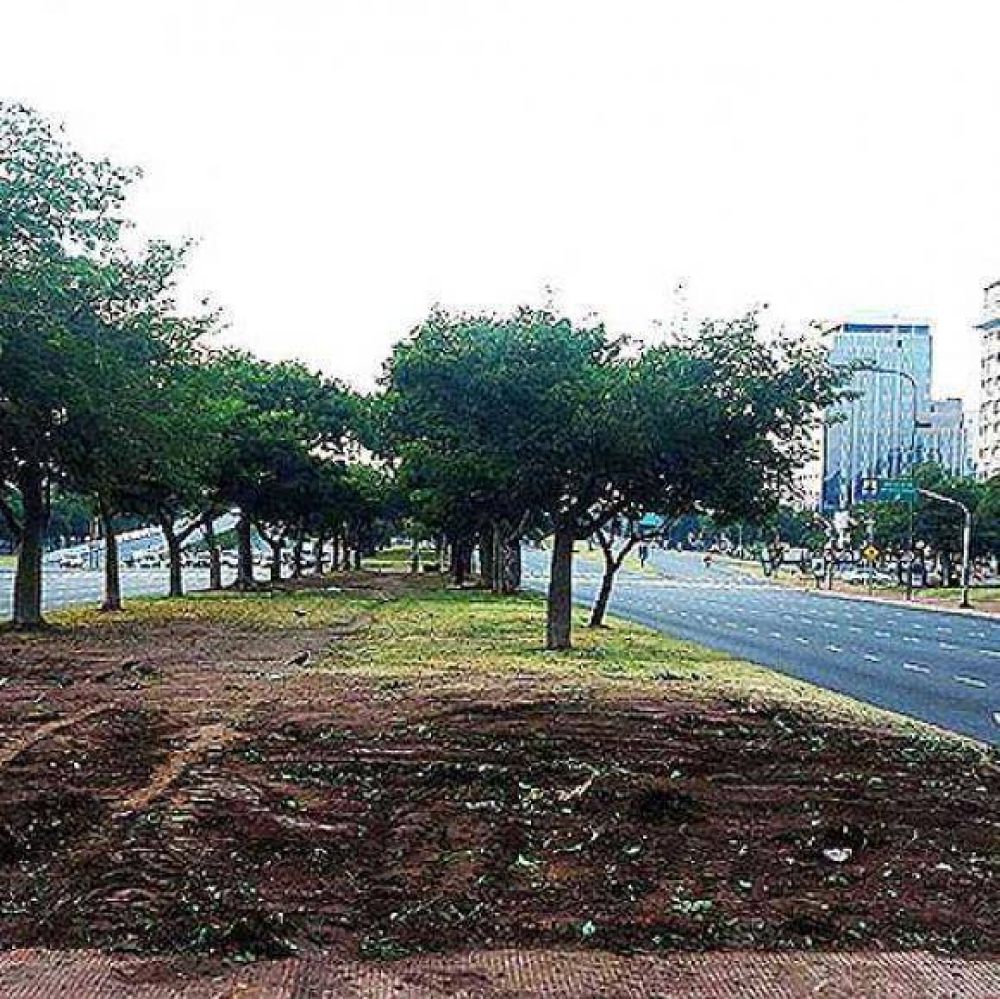 Advierten sobre las podas en rboles de la Av. 9 de Julio