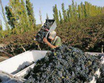 Durante la Cosecha y Elaboraci�n 2013 se destinaron cerca de $50 millones a cr�ditos