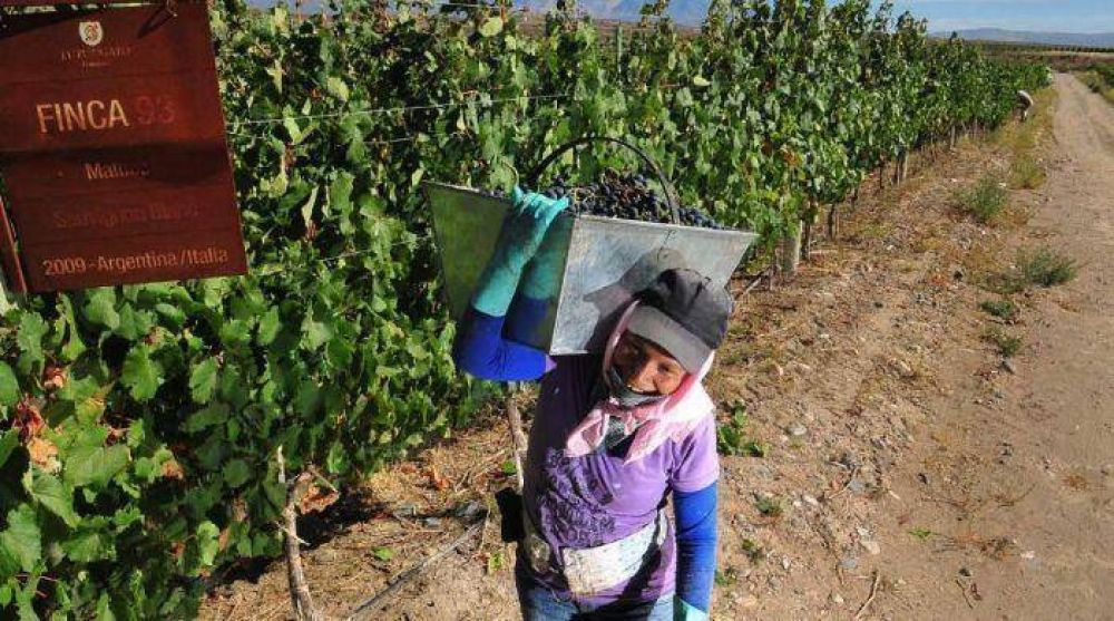 Por los feriados, se encarece la cosecha