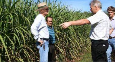 Con el Proalimentos mejor� la producci�n ca�era en Moj�n Grande