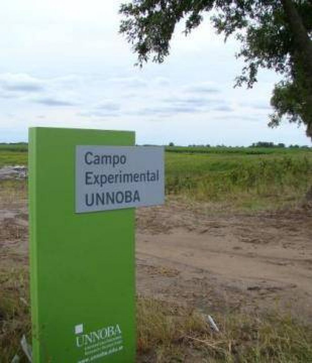 Se presentar� el Proyecto Desarrollo del Campo Experimental Jun�n