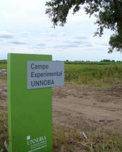 Se presentar� el Proyecto Desarrollo del Campo Experimental Jun�n