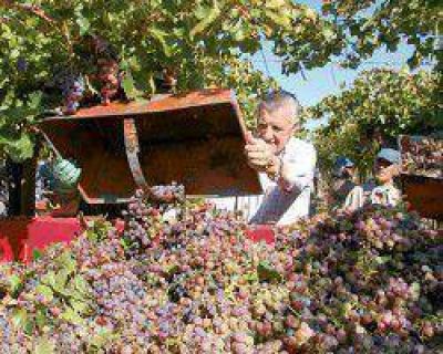 El gobernador Gioja visit� una finca que implement� la cosecha asistida