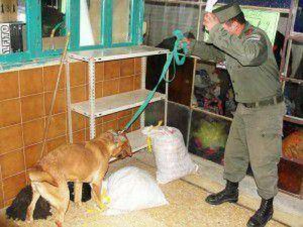 Gendarmer�a secuestr� en Jujuy m�s de 30 kilos de coca�na acondicionados en papas