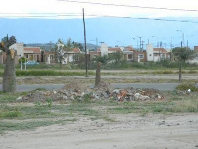 Denuncian a vecinos que arrojan basura en la v�a p�blica