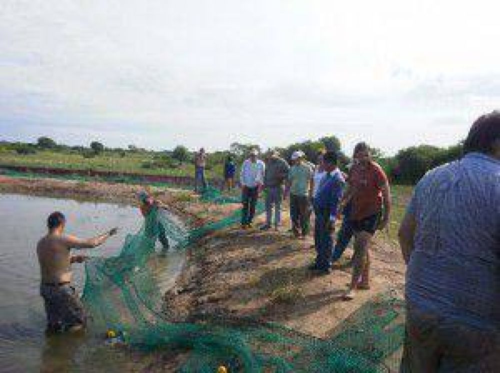 En Semana Santa, productores ofrecen en el mercado local su producci�n pisc�cola
