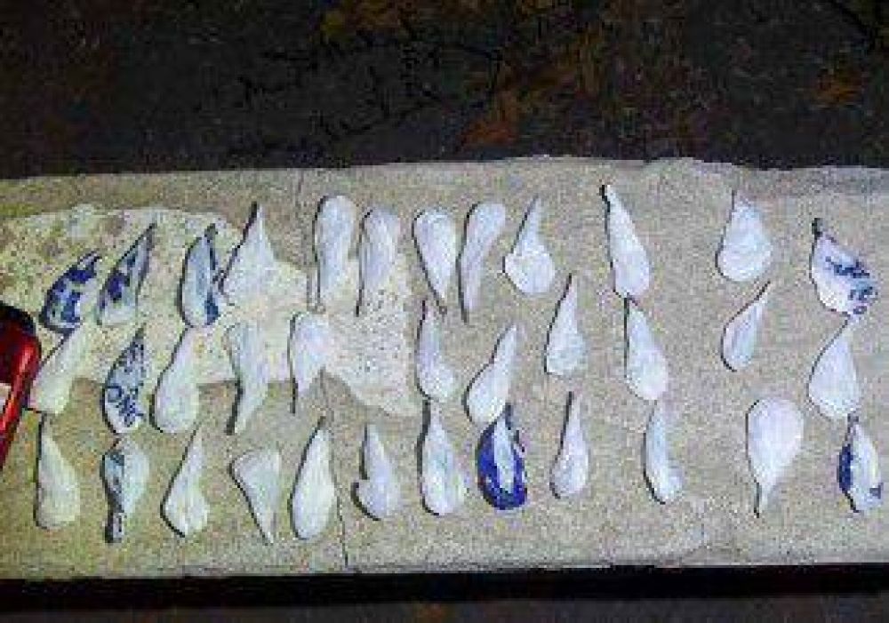 Secuestraron coca�na en Chos Malal 