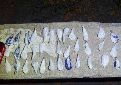 Secuestraron coca�na en Chos Malal 