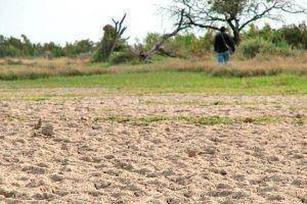 Advierten que la falta de agua puede generar una situaci�n cr�tica