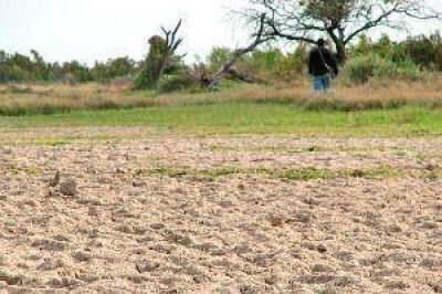 Advierten que la falta de agua puede generar una situaci�n cr�tica