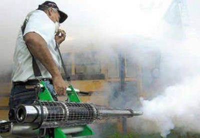 Confirman 426 casos aut�ctonos de dengue en la provincia 