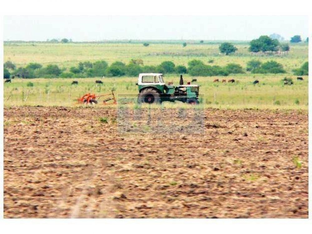 Aument� un 6 por ciento el �rea sembrada con soja en la provincia