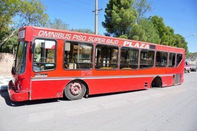 Transporte local: la oposici�n insiste en que una empresa estatal o cooperativa ser�a viable