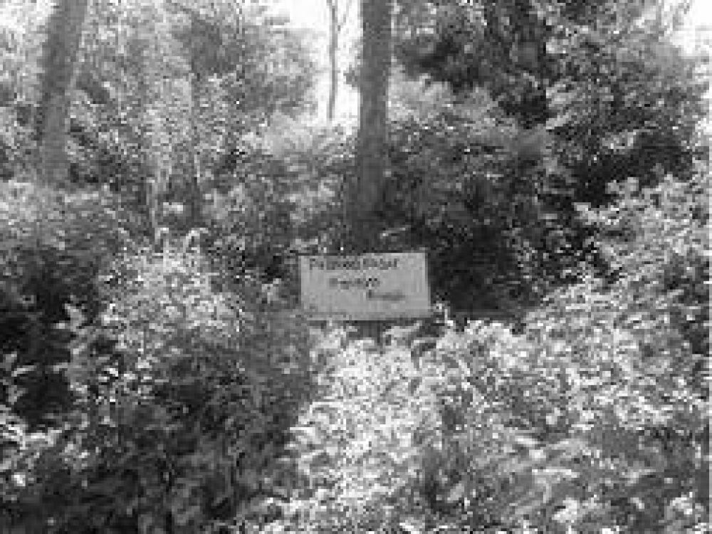Reiteraron pedido para que el municipio de Eldorado preserve la propiedad en el Parque Schwelm