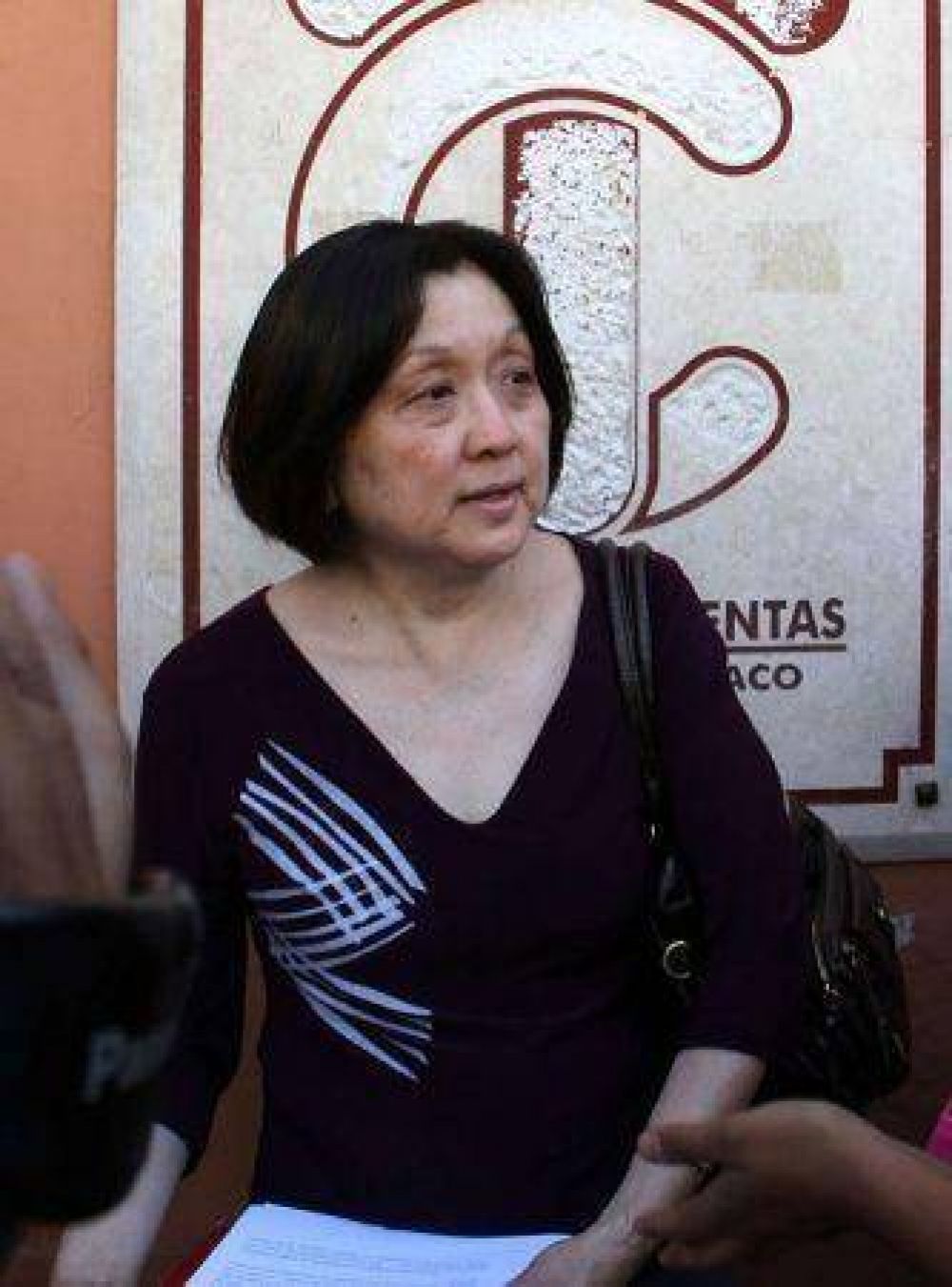 Terada insiste en el proyecto de creaci�n de la comisi�n para la reforma previsional