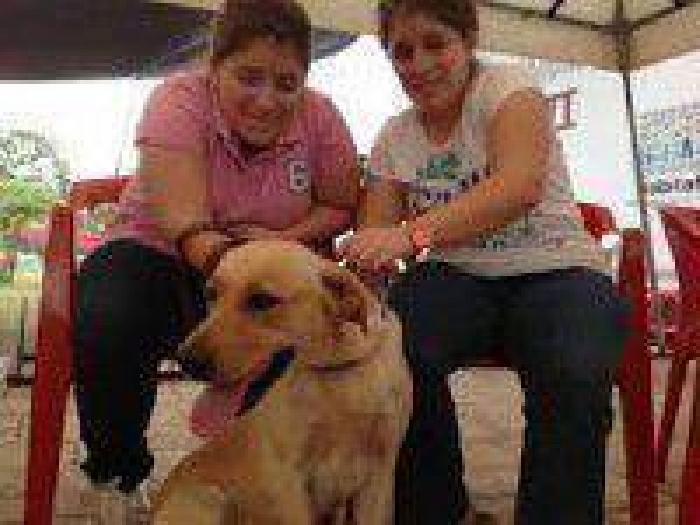 Calendario de esterilizaci�n de mascotas