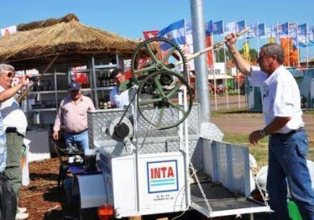 Ensayos para producir bioetanol a base a la de la ca�a de az�car 
