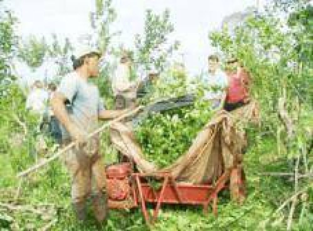 �Ser� un problema para los productores y acopiadores que pagan por encima del precio oficial�