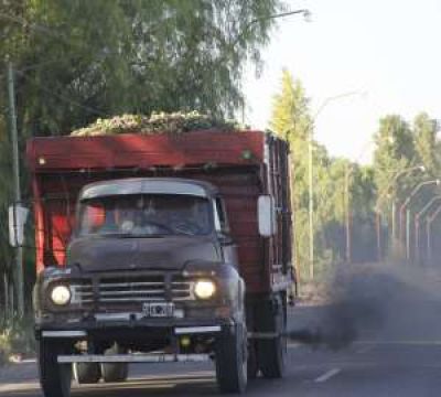 Legalizar�n la vieja flota de camiones cosecheros
