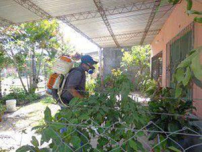 Profundizan las acciones preventivas en el plan de lucha contra el dengue
