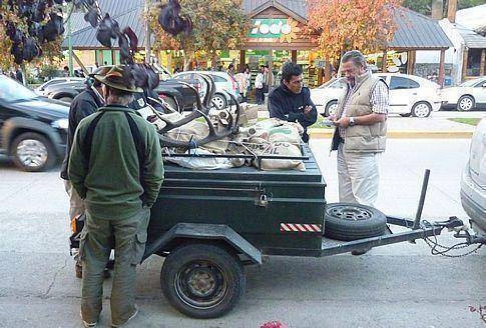 Operativo en pleno centro por transporte de cabezas de ciervo