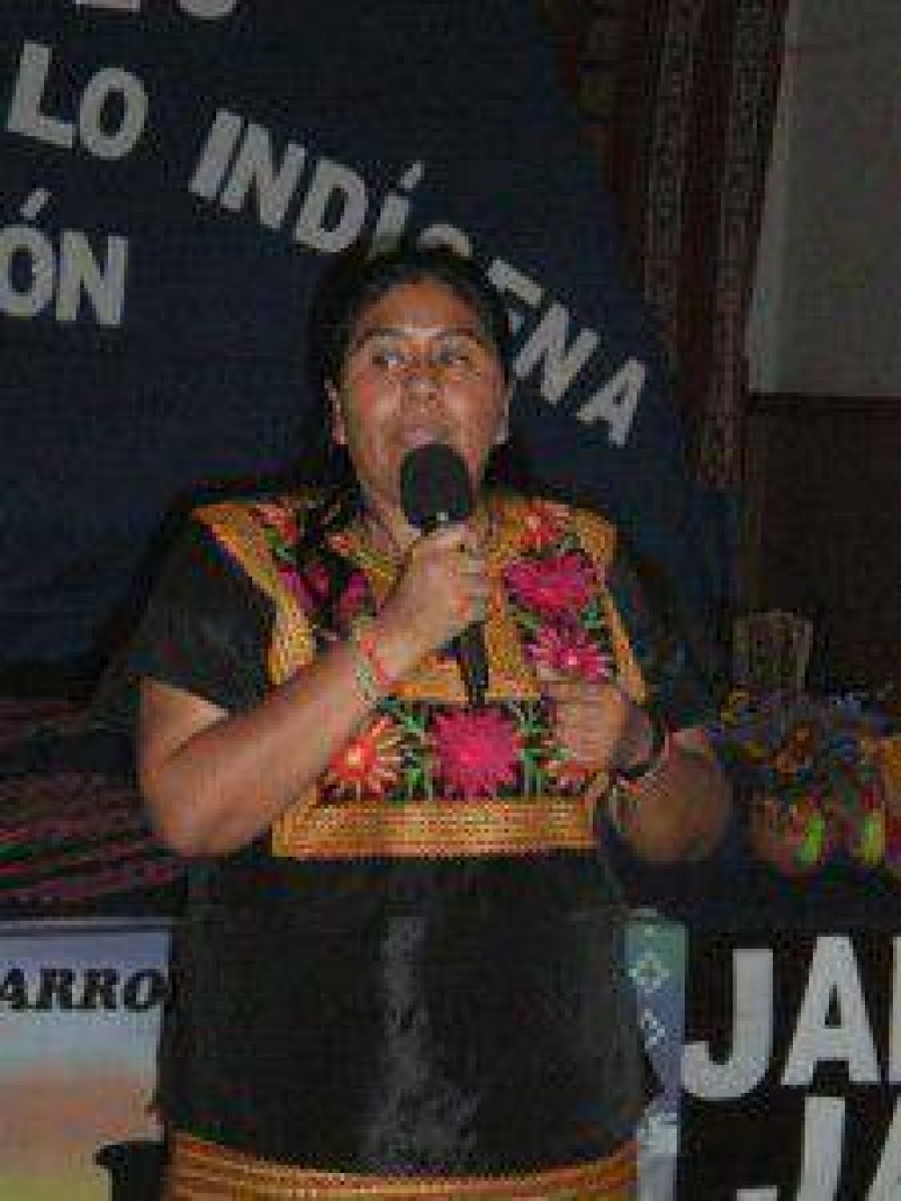 El COAJ present� su experiencia en encuentro internacional sobre educaci�n superior y pueblos ind�genas