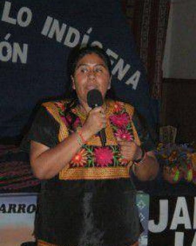 El COAJ present� su experiencia en encuentro internacional sobre educaci�n superior y pueblos ind�genas