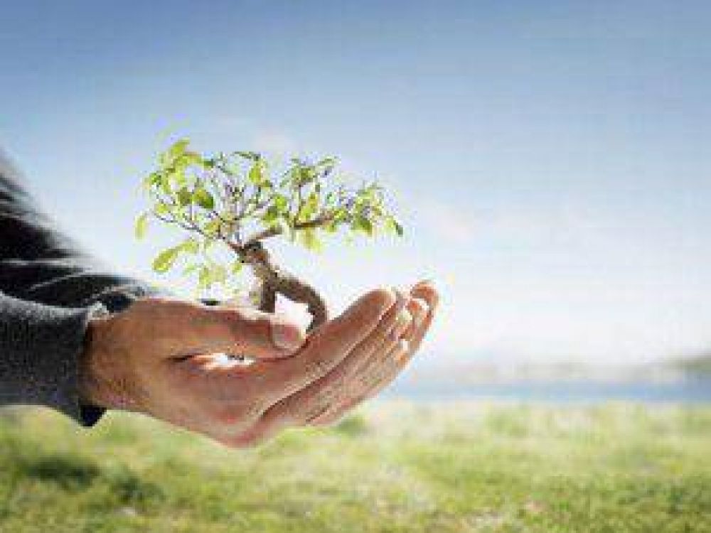 Un �rbol para mi vereda: contin�a con �xito el programa de arborizaci�n de la Municipalidad en los distintos barrios de la ciudad