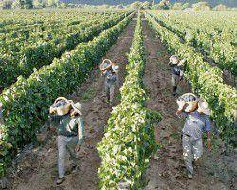 Habr� disponible 800 mil pesos para agricultores familiares