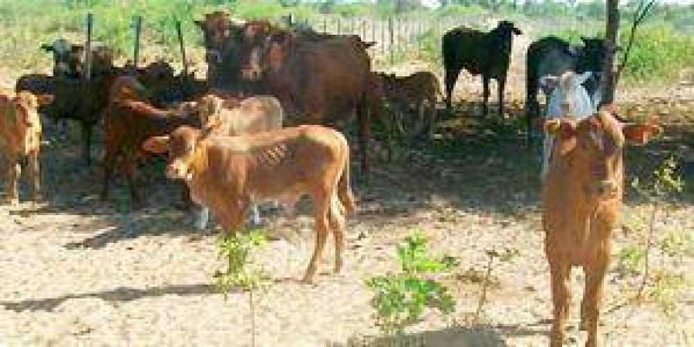 Se re�ne la Comisi�n de Emergencia Agropecuaria
