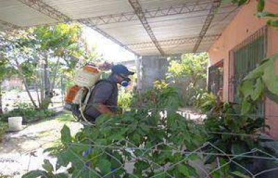 Profundizan las acciones preventivas en el plan de lucha contra el dengue