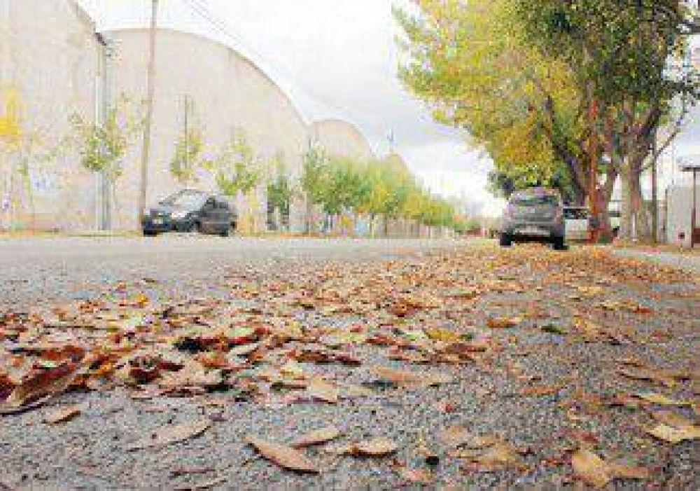 Intensificar�n el barrido de hojas y la reparaci�n de calles de ripio 