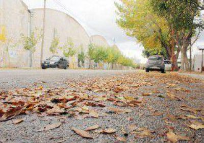 Intensificar�n el barrido de hojas y la reparaci�n de calles de ripio 