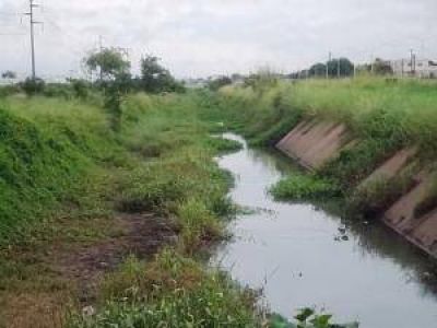 Alertan por falta de limpieza en canales de Resistencia