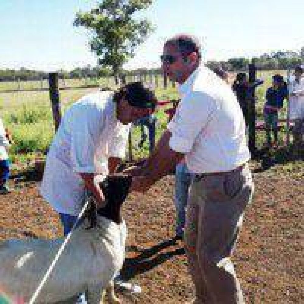Producci�n entreg� un reproductor boer a la Escuela Rural 318