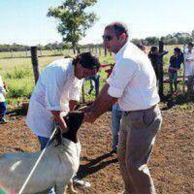 Producci�n entreg� un reproductor boer a la Escuela Rural 318