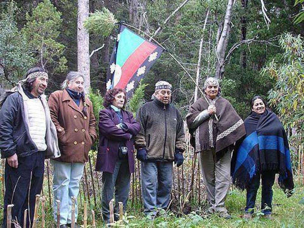 Aplicaron resoluci�n de la CIDH a favor de la comunidad Paichil Antriao